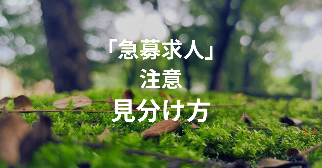 リゾートバイトの急募求人に注意！やめたほうがいい時の見分け方